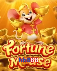 hh888